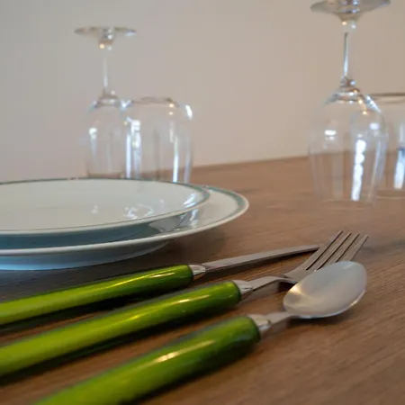 Le Camelia Proche Aeroport Tours