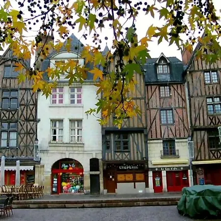 Daire Le Camelia Proche Aeroport Tours