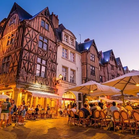 Le Camelia Proche Aeroport Tours