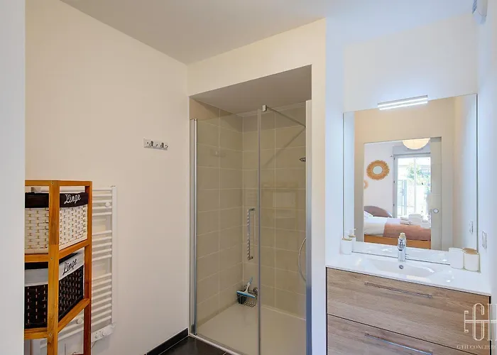 Apartament Le Camelia Proche Aeroport