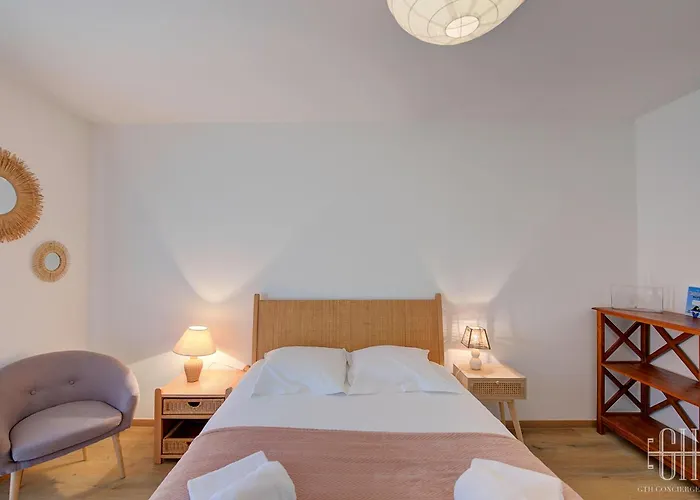 Le Camelia Proche Aeroport *