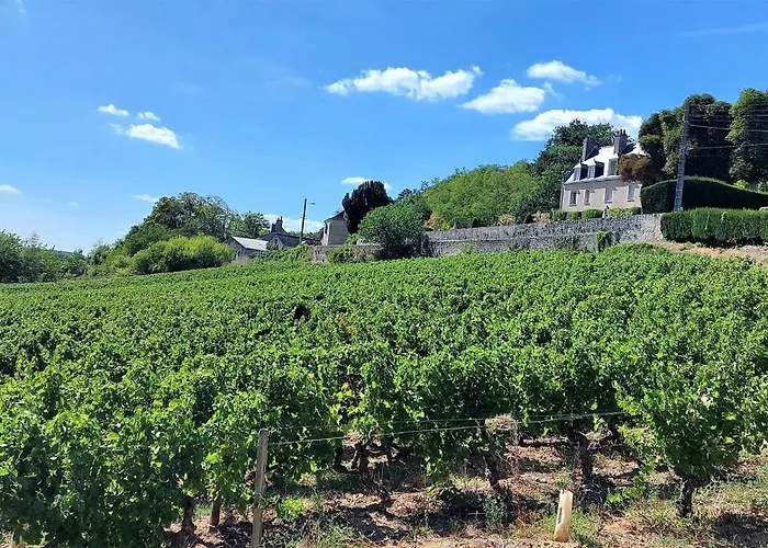 Le Camelia Proche Aeroport Lägenhet
