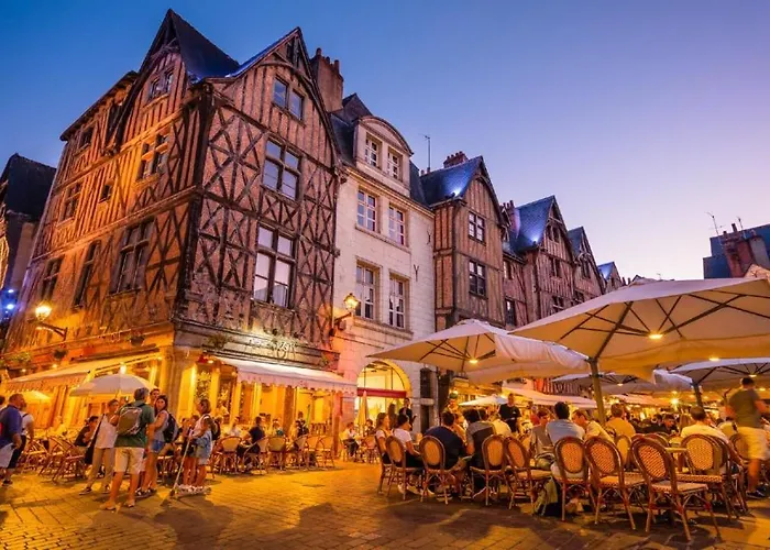 Le Camelia Proche Aeroport Tours